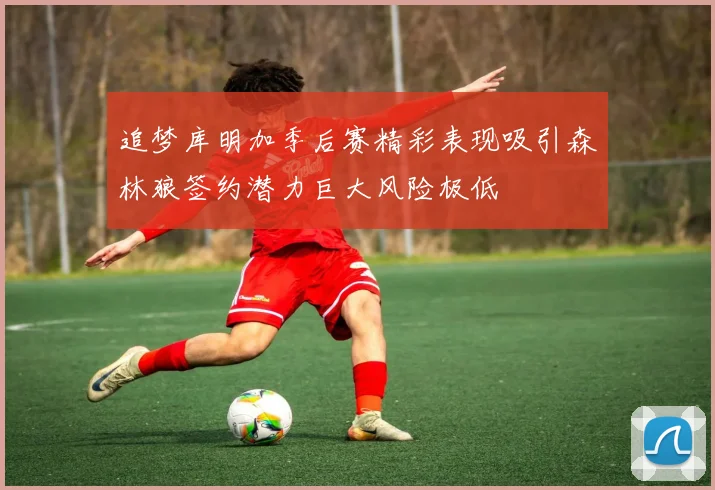 追梦库明加季后赛精彩表现吸引森林狼签约潜力巨大风险极低